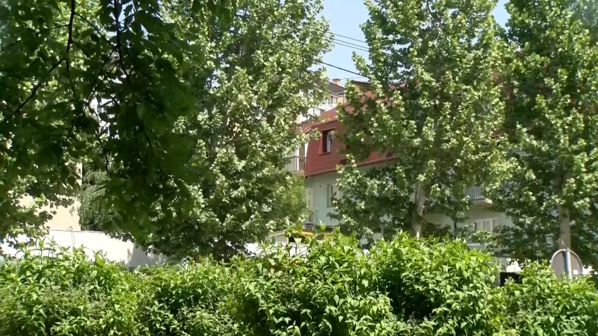 PROLJEĆE JE VRIJEME SEZONSKIH ALERGIJA