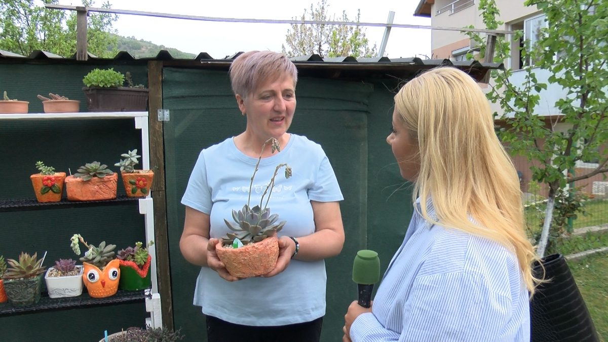 SAJMA KULIĆ IZ VOGOŠĆE UZGAJA RAZNE VRSTE CVIJEĆA