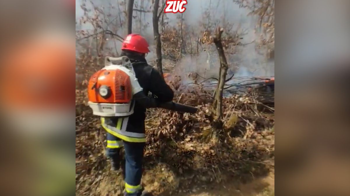VATROGASCI APELUJU: OPREZ PRILIKOM PALJENJA KOROVA I DRUGOG RASTINJA