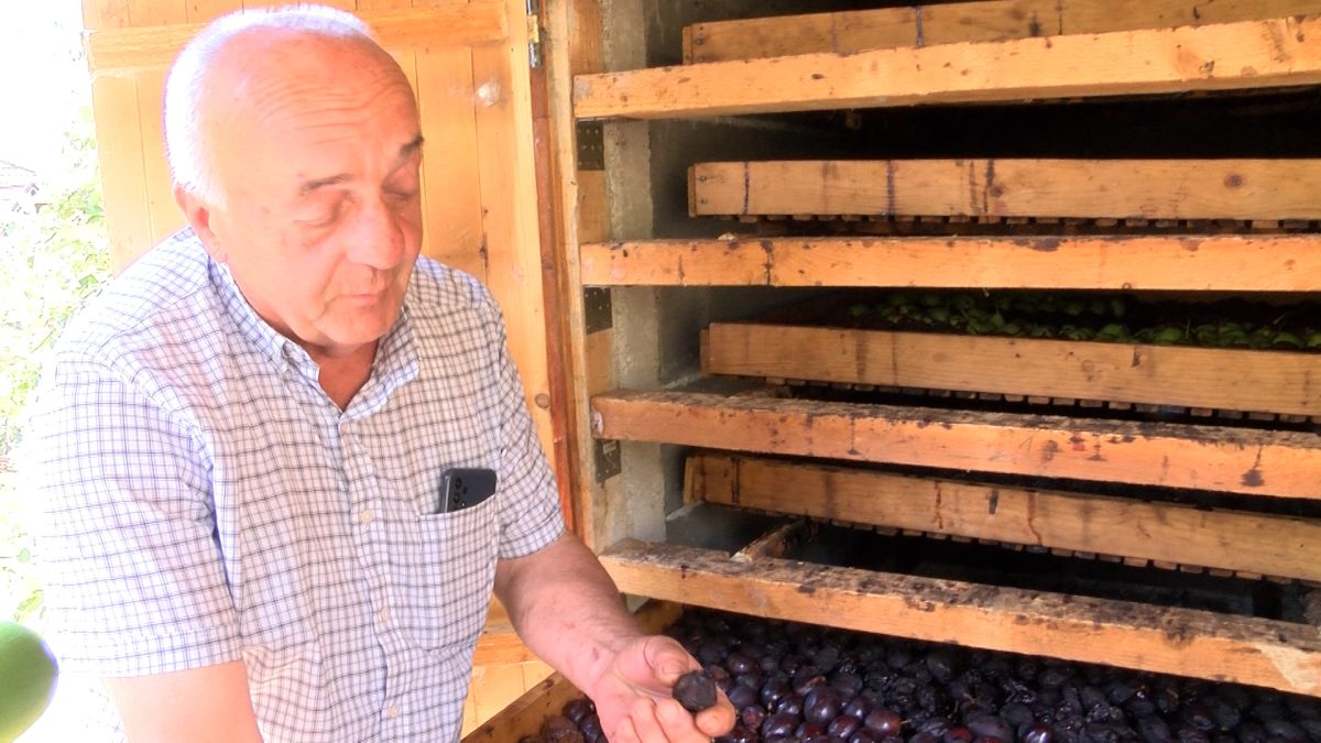 HASAN FERHATOVIĆ U HOŠAFANI SPREMA VOĆE ZA PREDSTOJEĆU ZIMU