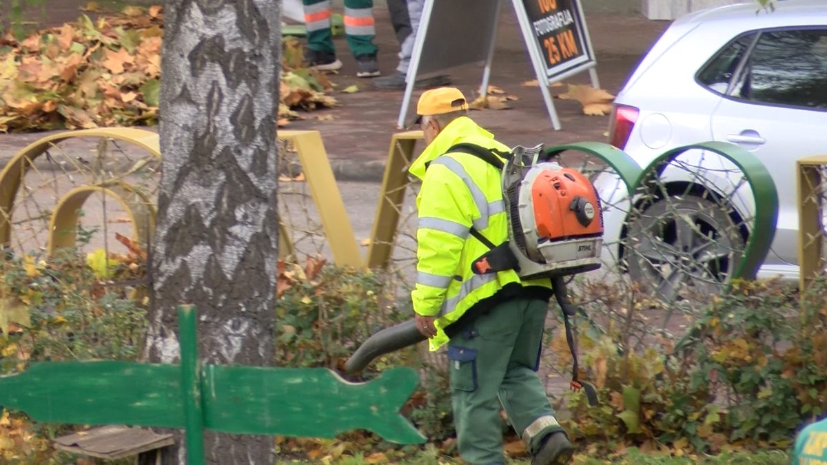 JAVNE ZELENE POVRŠINE U VOGOŠĆI SPREMNE ZA ZIMU