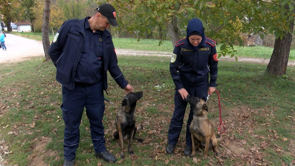UPOZNAJTE IKA I NALU, PSE TRAGAČE VATROGASNOG DRUŠTVA VOGOŠĆA