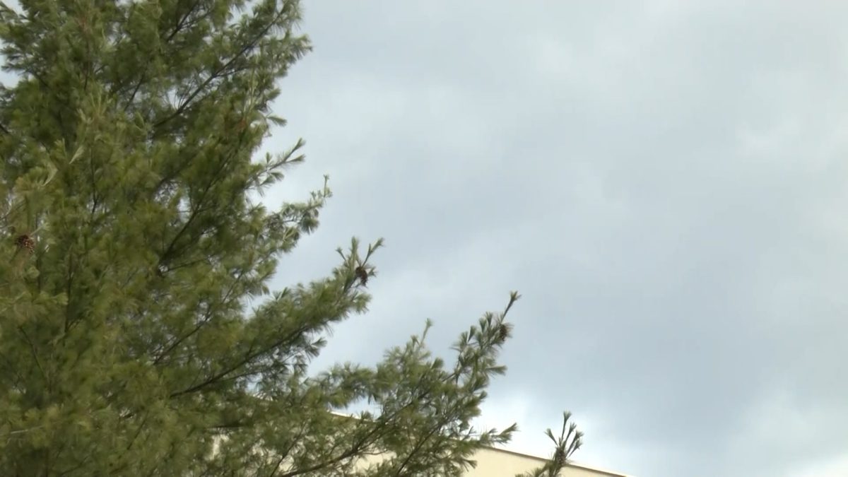 IZDATO NARANDŽASTO UPOZORENJE ZA BIH: VOGOŠĆANI ZNAJU KAKO SE PONAŠATI