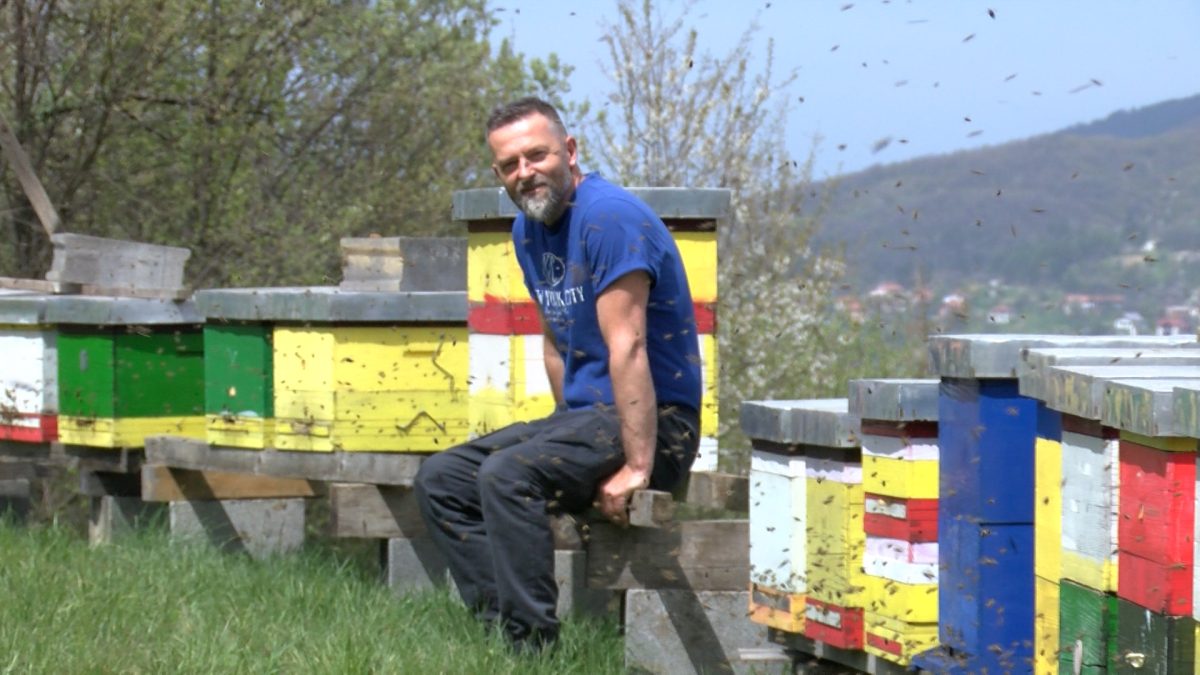 PČELAR MIHRET HALILOVIĆ: PČELARSTVO JE TRADICIJA KOJA ŽIVI