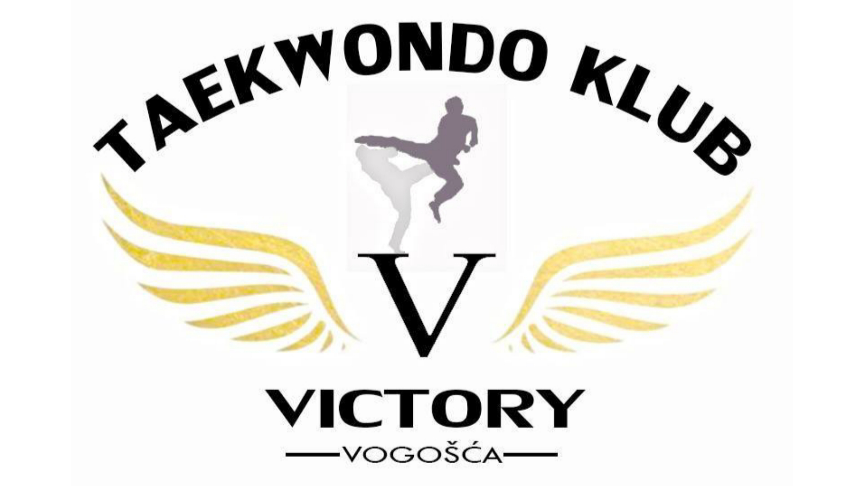 TAEKWONDO KLUB VICTORY VOGOŠĆA NA EUROPSKOM GRAND PRIXU – VRŠAC 2025