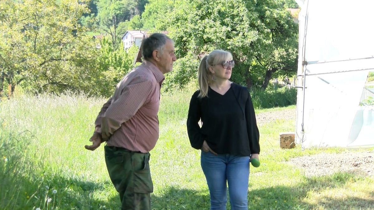 ZEHRID PAŠALIĆ USKORO OČEKUJE UROD POVRĆA NA SVOM IMANJU