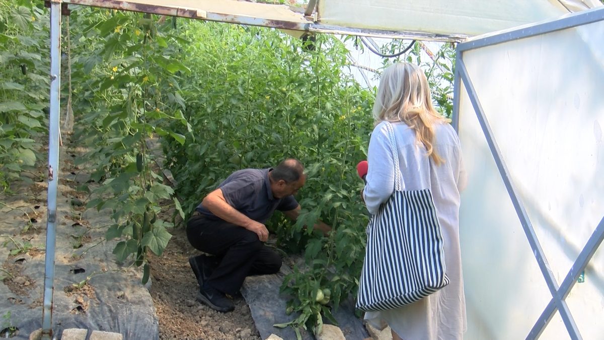 ADIL MUHIĆ: PLASTENIČKA PROIZVODNJA JE BUDUĆNOST U VOGOŠĆI