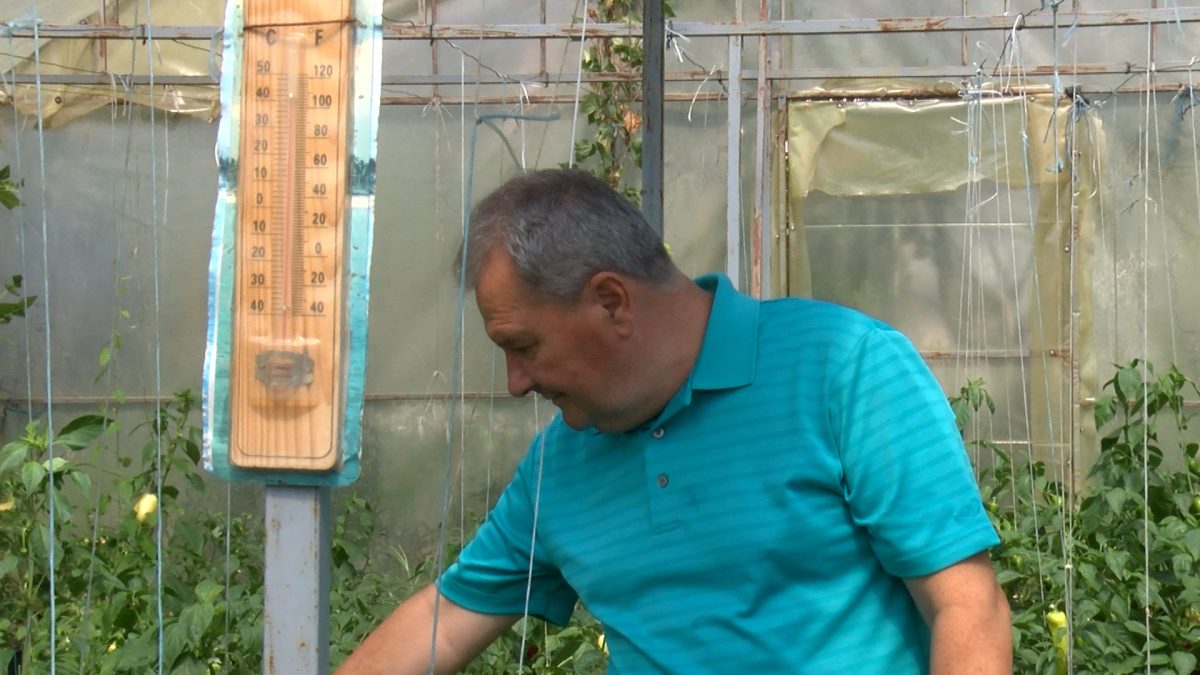 POSJETILI SMO JUKU IBRAHIMOVIĆA KOJI SE BAVI PLASTENIČKOM PROIZVODNJOM