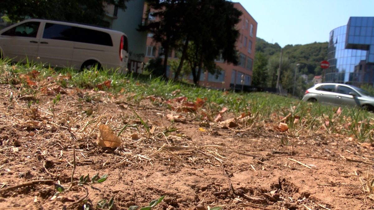 DUGOTRAJNA SUŠA OSTAVLJA POSLJEDICE NA JAVNE ZELENE POVRŠINE