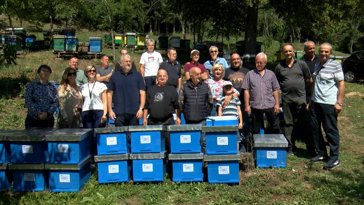 17 VOGOŠĆANSKIH PČELARA DOBILO LR KOŠNICE SA VISOKOKVALITETNIM ROJEVIMA