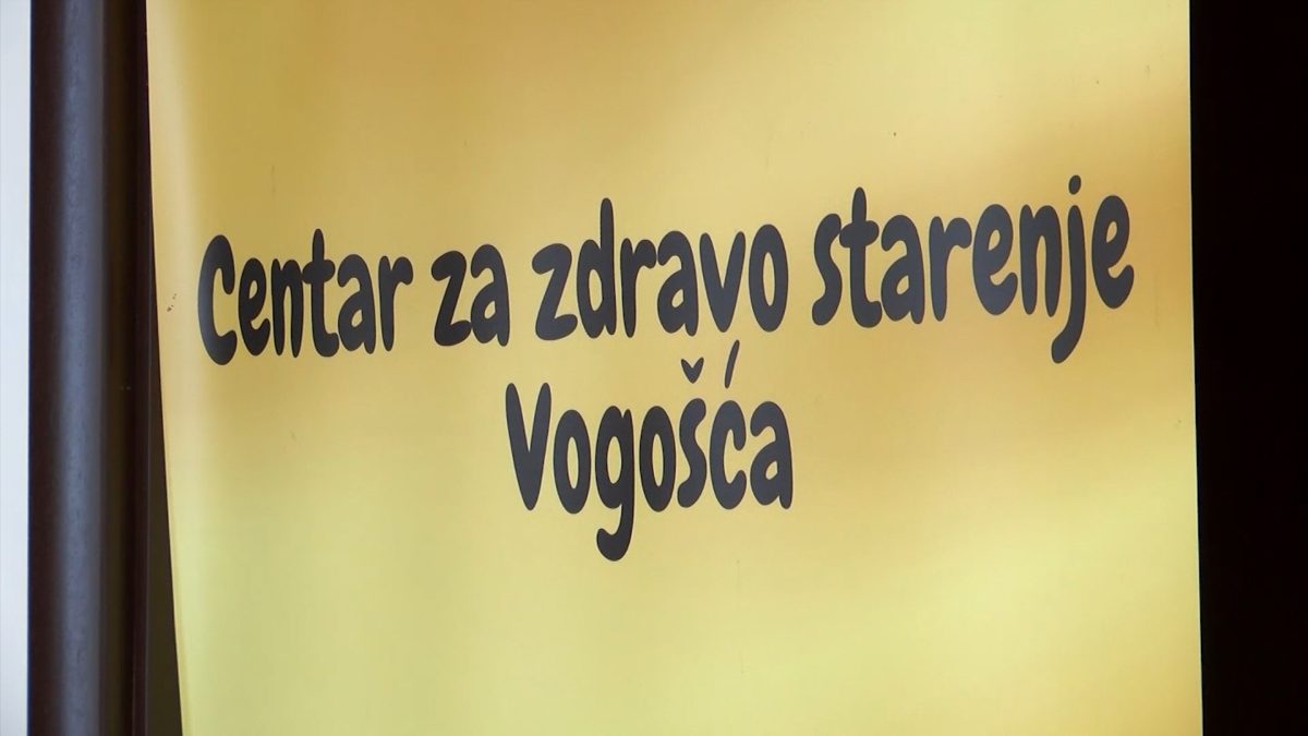 GODINA AKTIVNOG I ISPUNJENOG ŽIVOTA U CENTRU ZA ZDRAVO STARENJE VOGOŠĆA