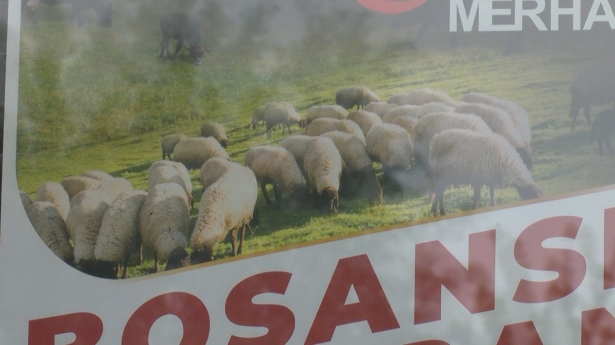 “MERHAMET” TRADICIONALNO I OVE GODINE PROVODI  AKCIJE “BOSANSKI KURBAN” I “KURBANI U MEKKI I AUSTRALIJI”