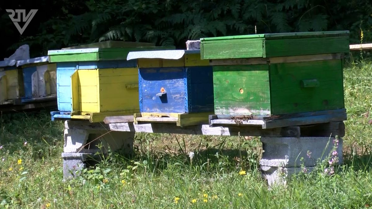 JULI MJESEC INTEZIVNIH RADOVA U PČELINJAKU